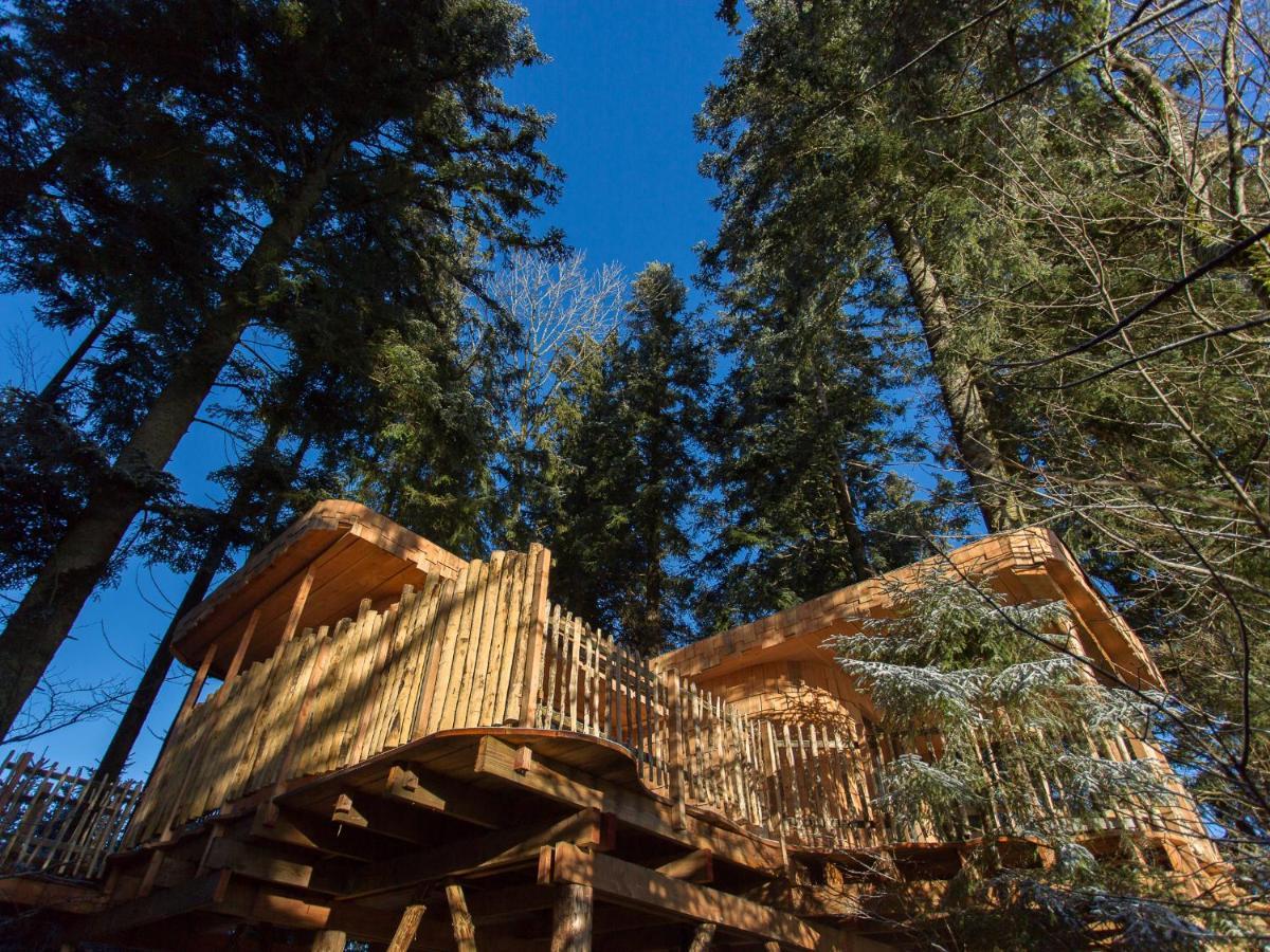 Domaine De L'Authentique Cabanes Dans Les Arbres Fournet-Blancheroche Exterior photo