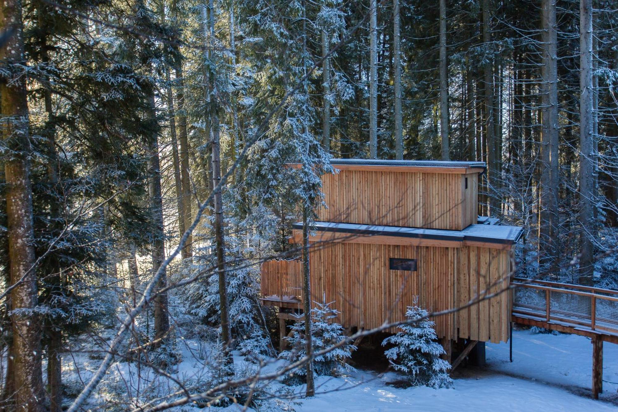 Domaine De L'Authentique Cabanes Dans Les Arbres Fournet-Blancheroche Room photo