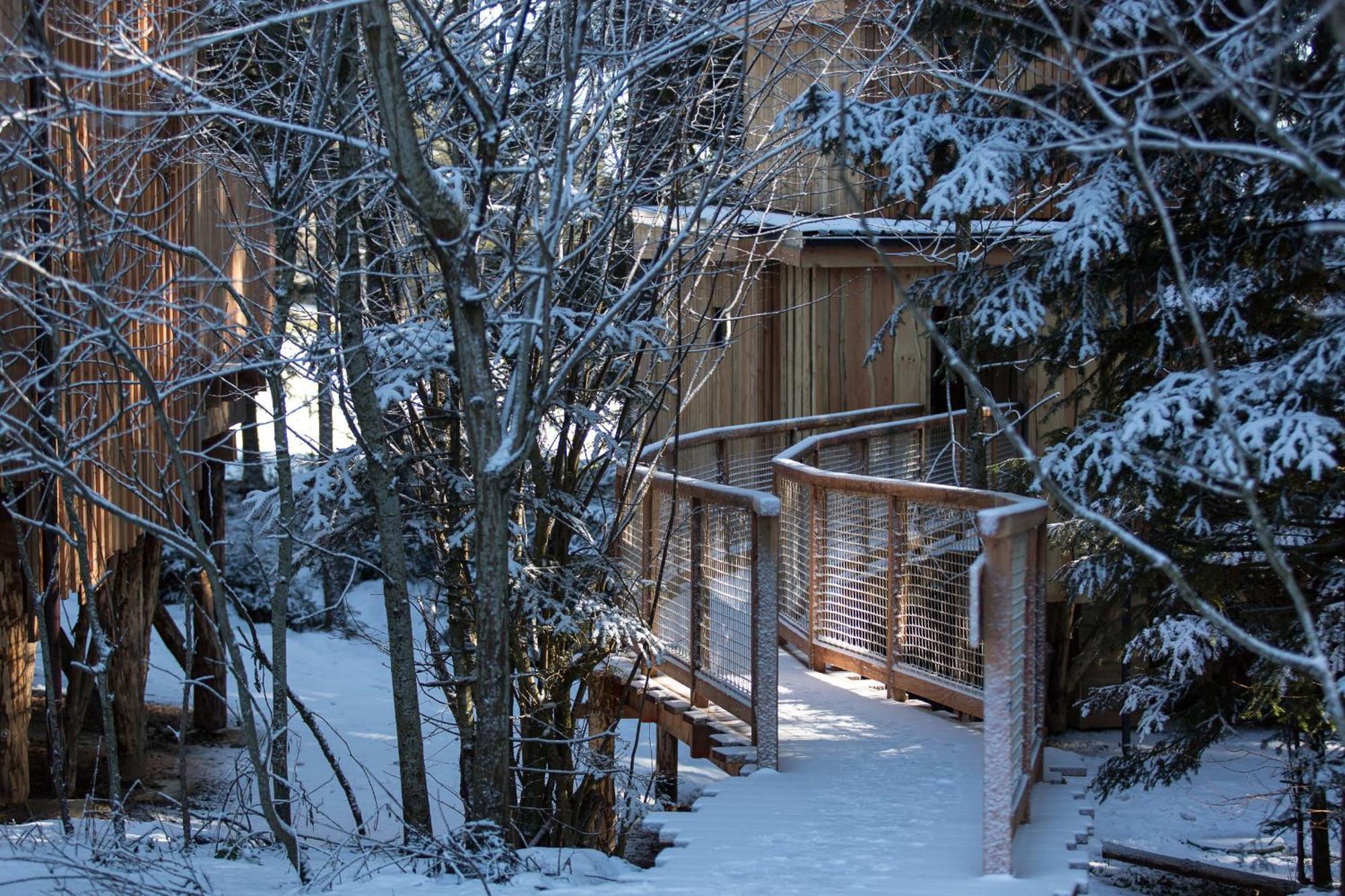 Domaine De L'Authentique Cabanes Dans Les Arbres Fournet-Blancheroche Room photo